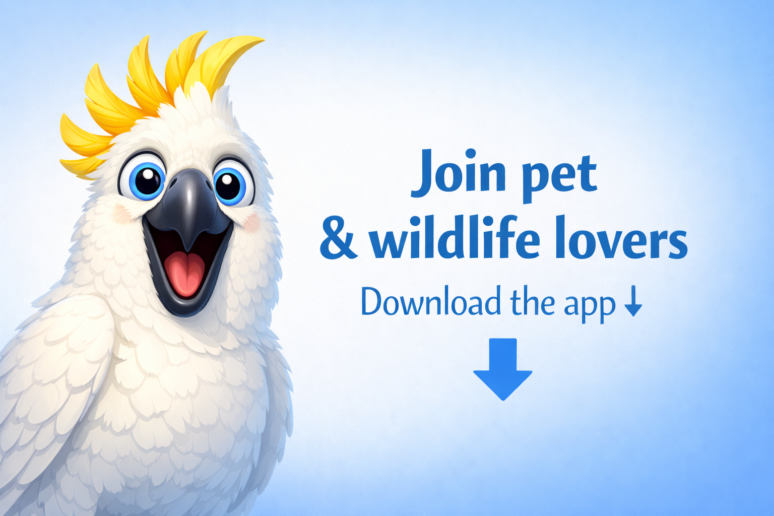 Wagter mobile app preview