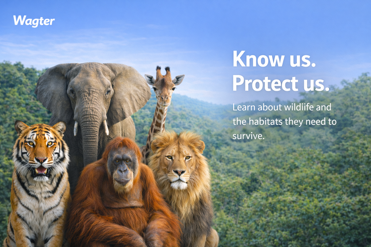 Wildlife photography showcase